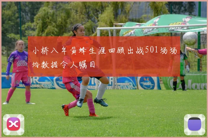小桥八年黄蜂生涯回顾出战501场场均数据令人瞩目