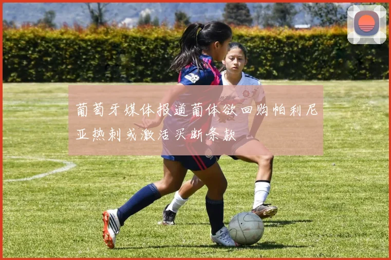 葡萄牙媒体报道葡体欲回购帕利尼亚热刺或激活买断条款